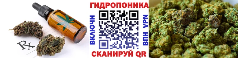 Cannafood конопля  Купить  Озёрск 