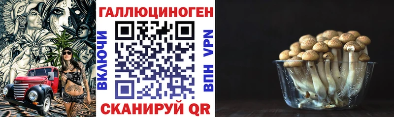 Псилоцибиновые грибы Cubensis  Купить  Озёрск 