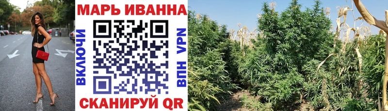 Купить закладки  Озёрск  Каннабис индика 